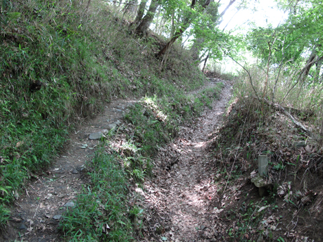 20140524hike (23)